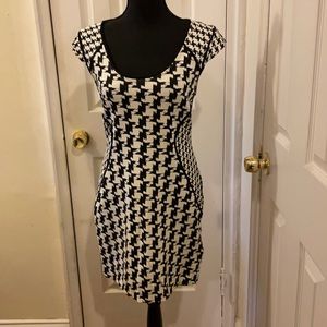Express Zip Back Dress